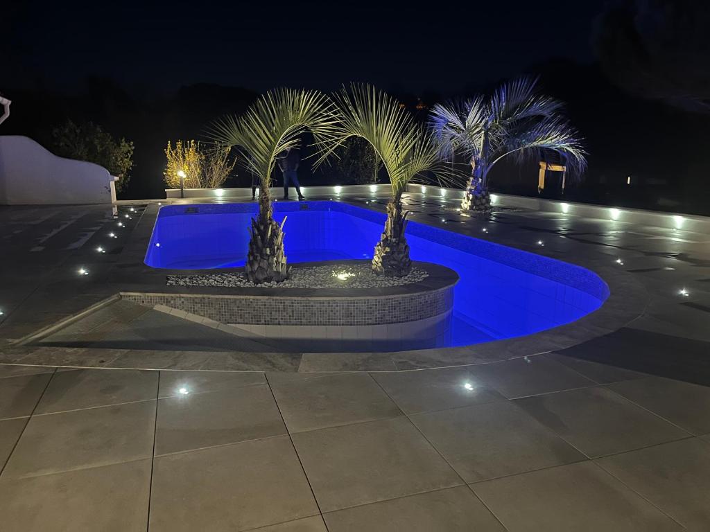 a swimming pool at night with palm trees and lights at Les Vergers in Gonfaron