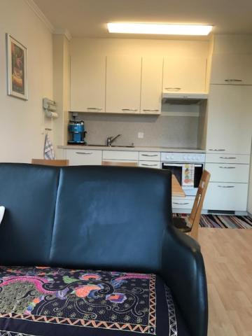 Kuchyň nebo kuchyňský kout v ubytování Bad Ragaz Appartement