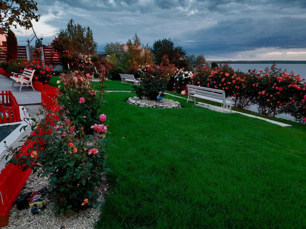 Zahrada ubytování Lake View House