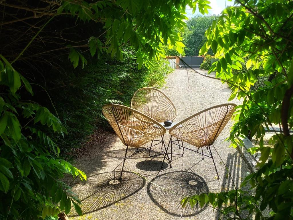 Fotografie z fotogalerie ubytování B&B Chez Séverine v destinaci Lamotte-Beuvron