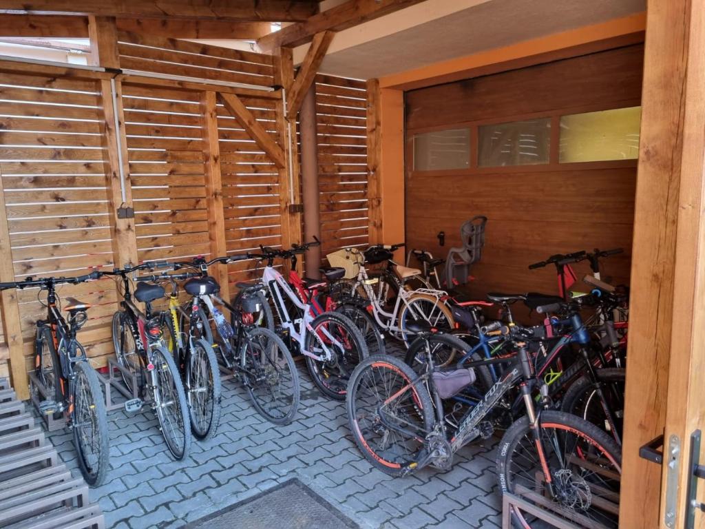 Jízda na kole v ubytování Penzion Říše nebo okolí