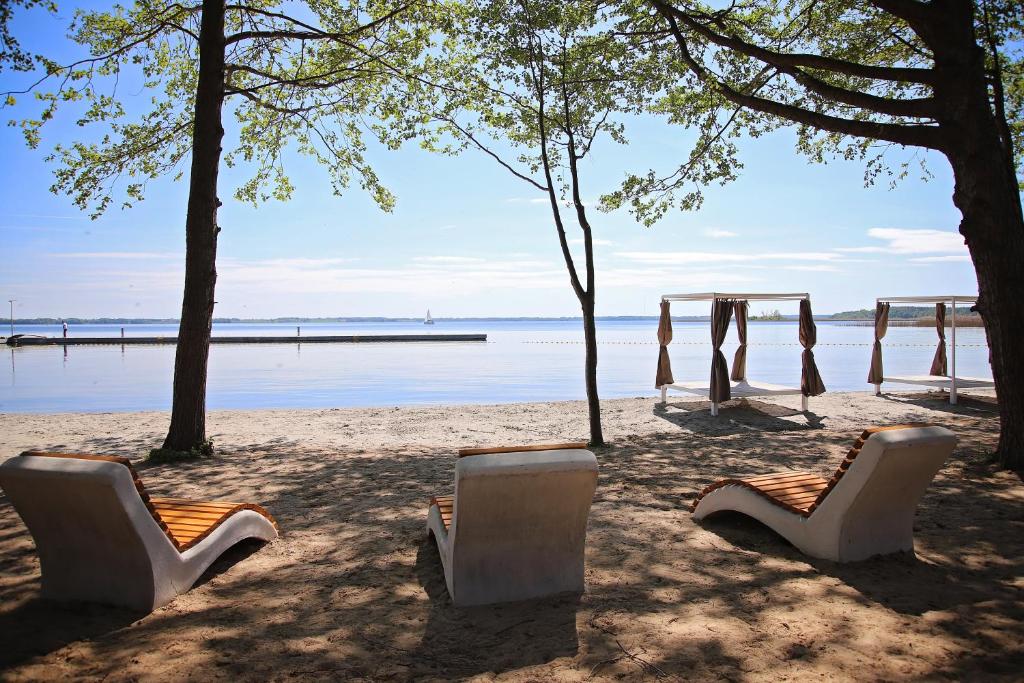 uma praia com duas cadeiras e uma mesa e árvores em Apartament Take Your Time em Giżycko