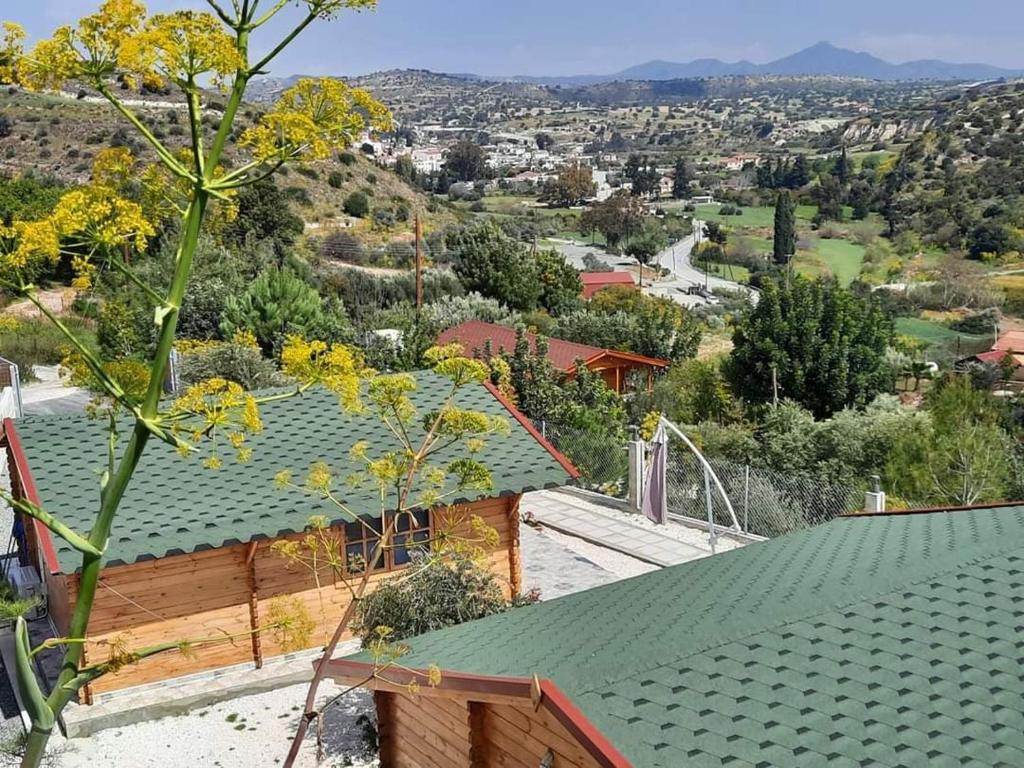 un toit vert au-dessus d'une maison dans l'établissement Happy Glamping Cy, à Ayios Theodhoros