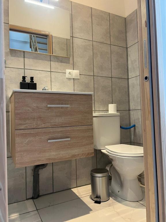 une salle de bain avec toilettes, lavabo et miroir dans l'établissement la soie, à Rhut