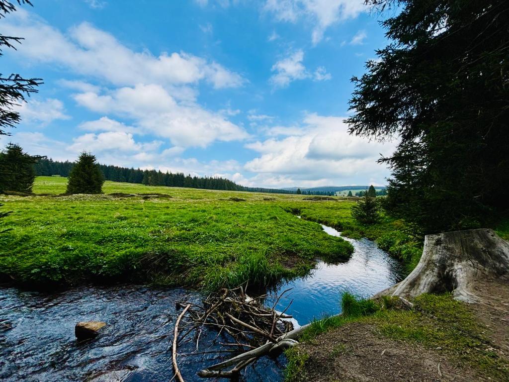 Příroda nedaleko apartmánu