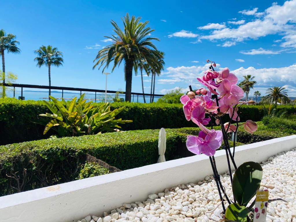 Vonkajšia záhrada v ubytovaní Magnifique appartement les pieds dans l’eau à Nice