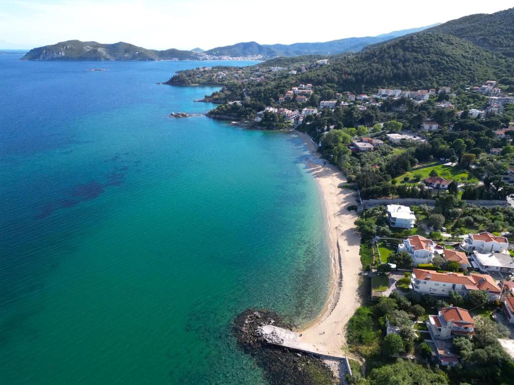 an aerial view of the shoreline of a beach at Dimitras apartment in Paleo Tsifliki