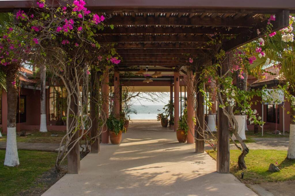 Zahrada ubytování Arrue Coastal Escape at Andromeda Pedasi