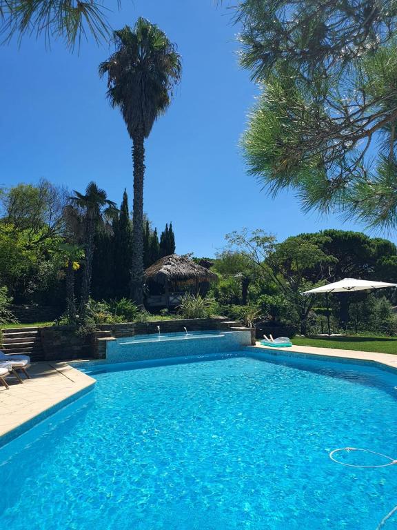 une piscine avec un palmier en arrière-plan dans l'établissement VILLA ROUTE DE RAMATUELLE, à La Croix-Valmer