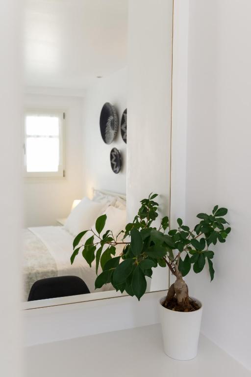 Alexandros Apartments - 6