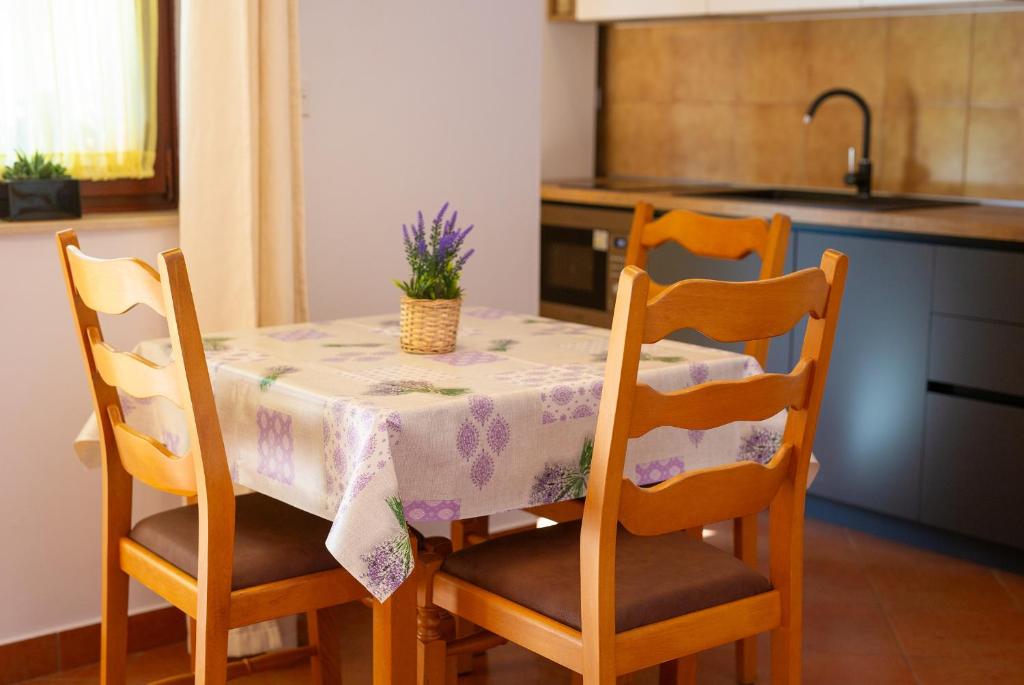Kuchnia lub aneks kuchenny w obiekcie Apartman Sokolovski