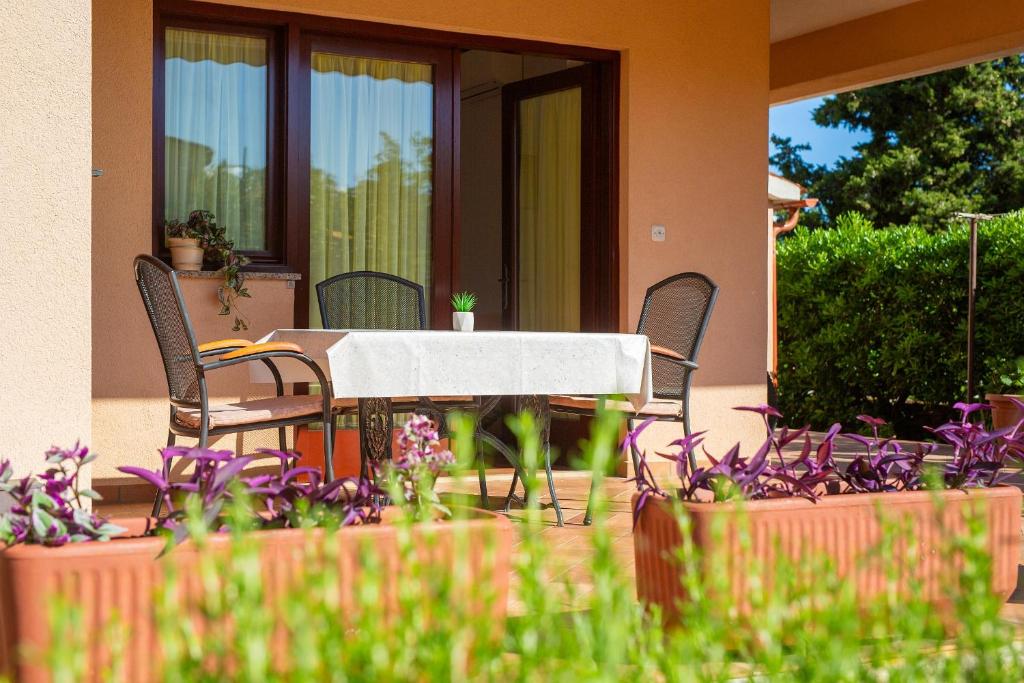 Ogród w obiekcie Apartman Sokolovski