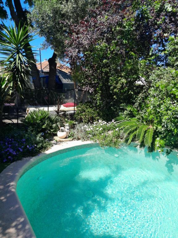 a swimming pool in a yard with trees and flowers at APPARTEMENT EN SOUS SOL DE VILLA avec accès jardin et piscine in Marseille