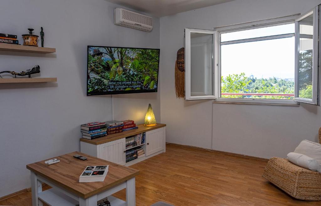 TV a/nebo společenská místnost v ubytování Apartment Sea View 1