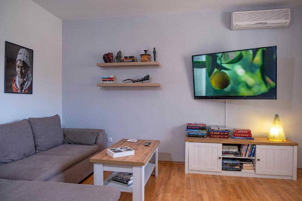 TV a/nebo společenská místnost v ubytování Apartment Sea View 1