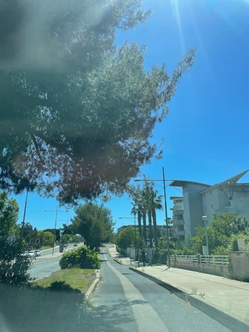 an empty street with a tree hanging over a road at Le Sun Valley - Studio Cosy - Free Parking in Montpellier