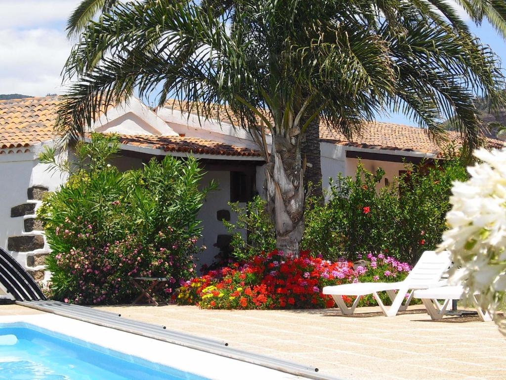 una piscina con una palmera, una silla y flores en Your Island Finca El Picacho C, en Tegueste