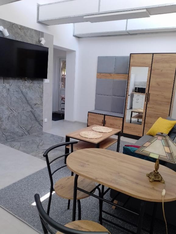 TV a/nebo společenská místnost v ubytování Studio z aneksem kuchennym z 1 sypialnią
