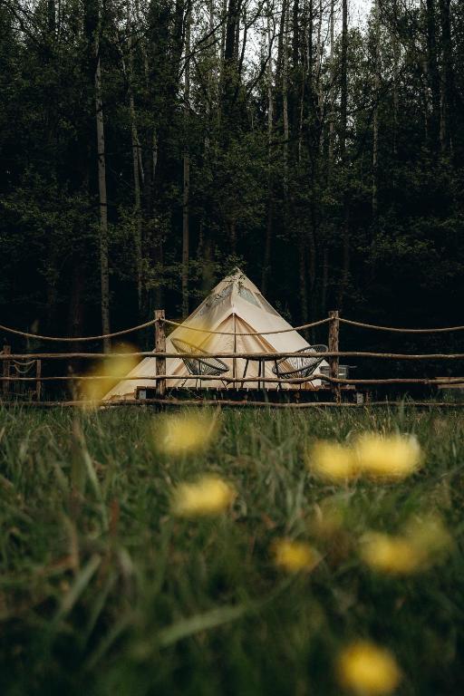 Příroda nedaleko luxury tent