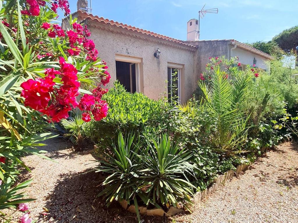 un jardin avec des fleurs roses en face d'une maison dans l'établissement Maison T3 climatisée avec jardin, garage privatif et terrasse à 900 m des plages - Animaux admis - FR-1-316-272, à Six-Fours-les-Plages