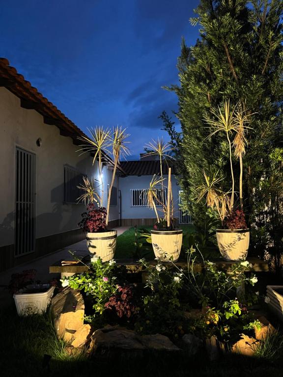 un grupo de plantas en macetas en un patio por la noche en Casa da Vó Maria! Studio 08, en Goiânia