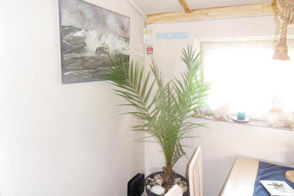 Fotografie z fotogalerie ubytování Mi Corazon huisnummer 122 v destinaci De Panne