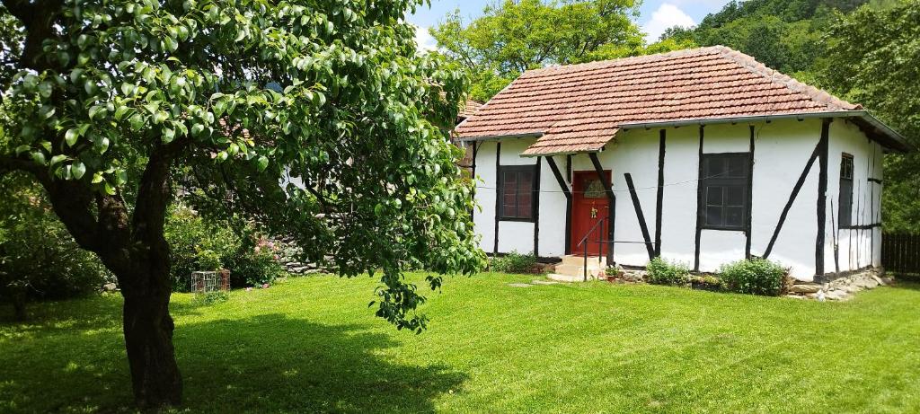 uma pequena casa branca com uma porta vermelha e uma árvore em Глинената къща в Дълги Дел em Dŭlgi Del