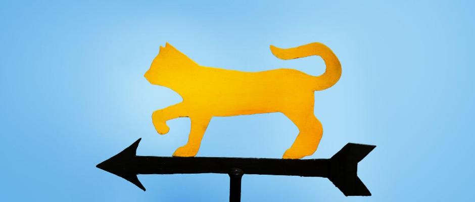 Fotografie z fotogalerie ubytování Agriturismo Gattogiallo v destinaci Montegabbione