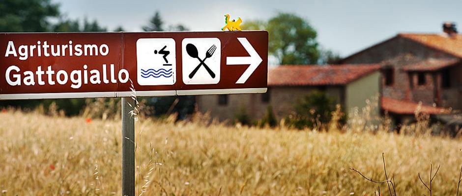 Certifikát, hodnocení, plakát nebo jiný dokument vystavený v ubytování Agriturismo Gattogiallo