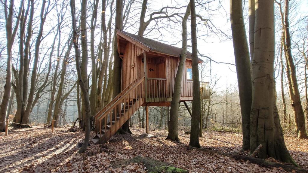 Baumhaushotel Solling - Habitación Cuádruple Con Balcón