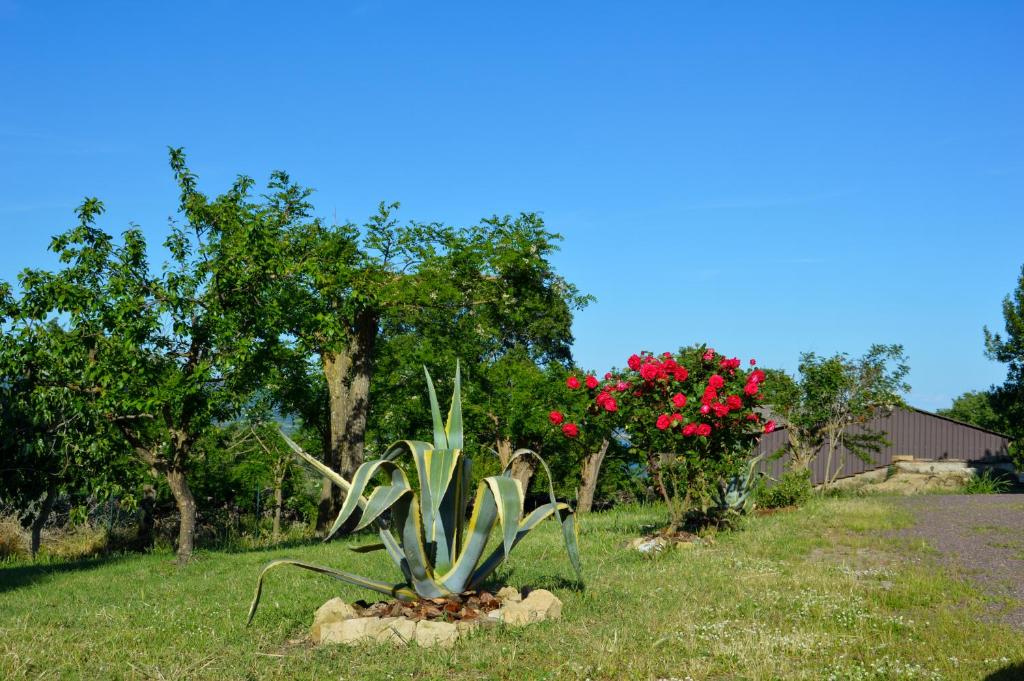 Ogród w obiekcie Agriturismo "La Fraschetta"