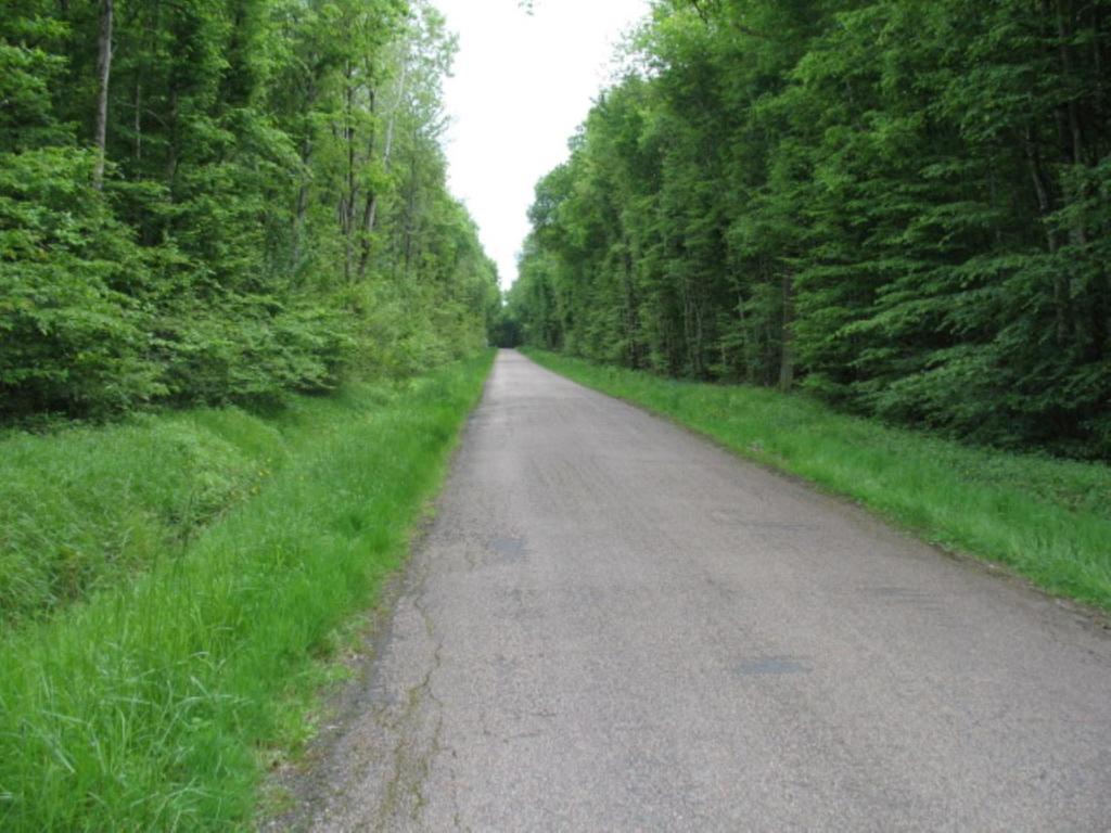 CAMPAGNE et FORET - Appartement