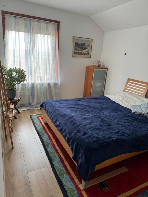 Un dormitorio con una cama grande y una ventana en Farmville, en Hengstdijk