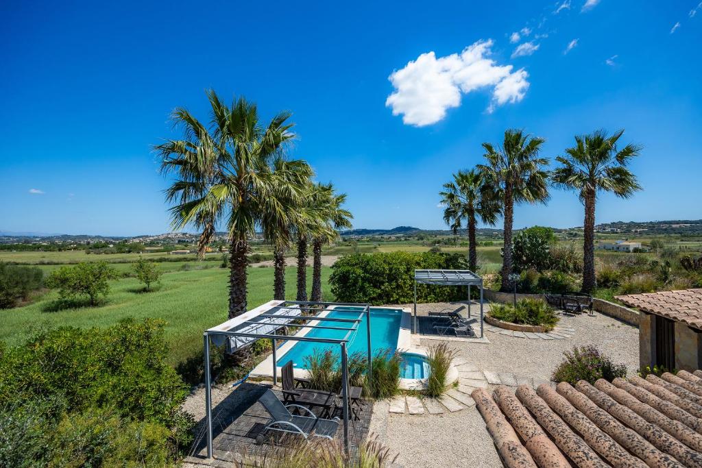 an overhead view of a pool with palm trees at Buena Vista in Montuiri
