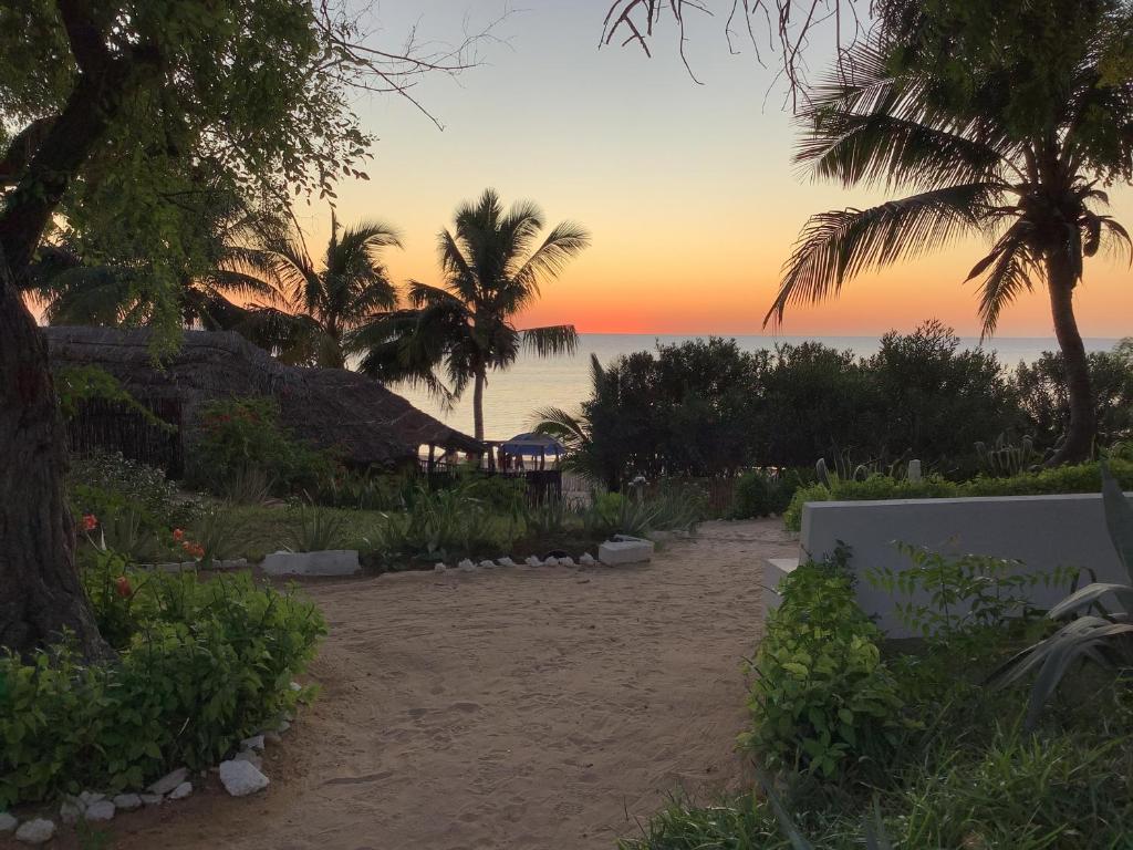 einen Strand mit Palmen und dem Meer bei Sonnenuntergang in der Unterkunft Hôtel Maroloko in Toliara