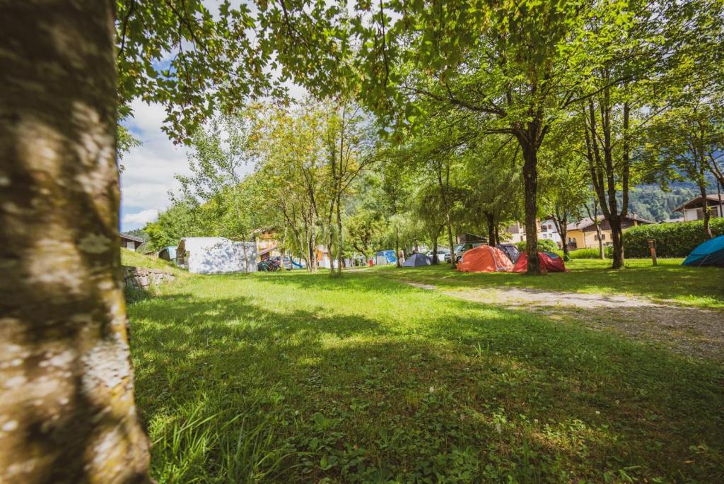 Camping Casavecchia - Empty Pitch - 空地