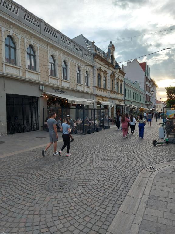 a group of people walking down a street at Darris Apartament Ultracentral in Oradea
