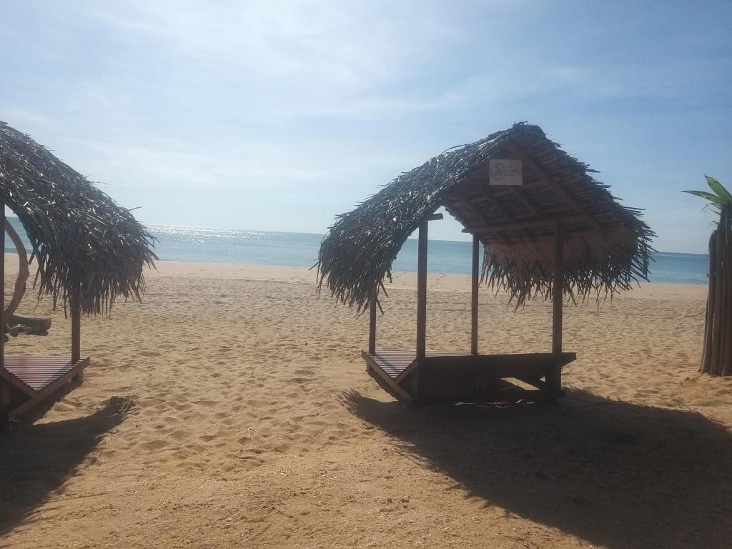 Příroda nedaleko hostelu
