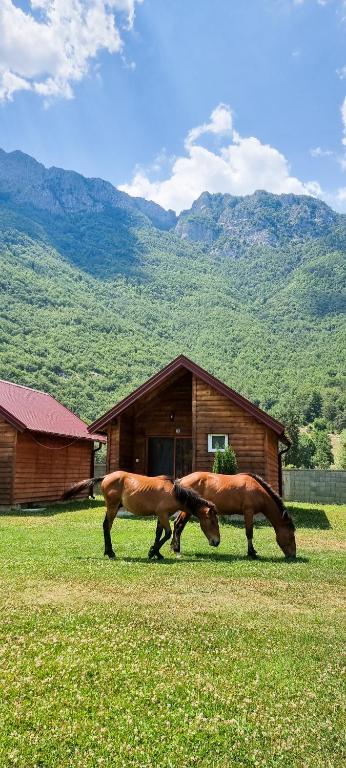 Ethno Katun ROSI Agrotourism - 5