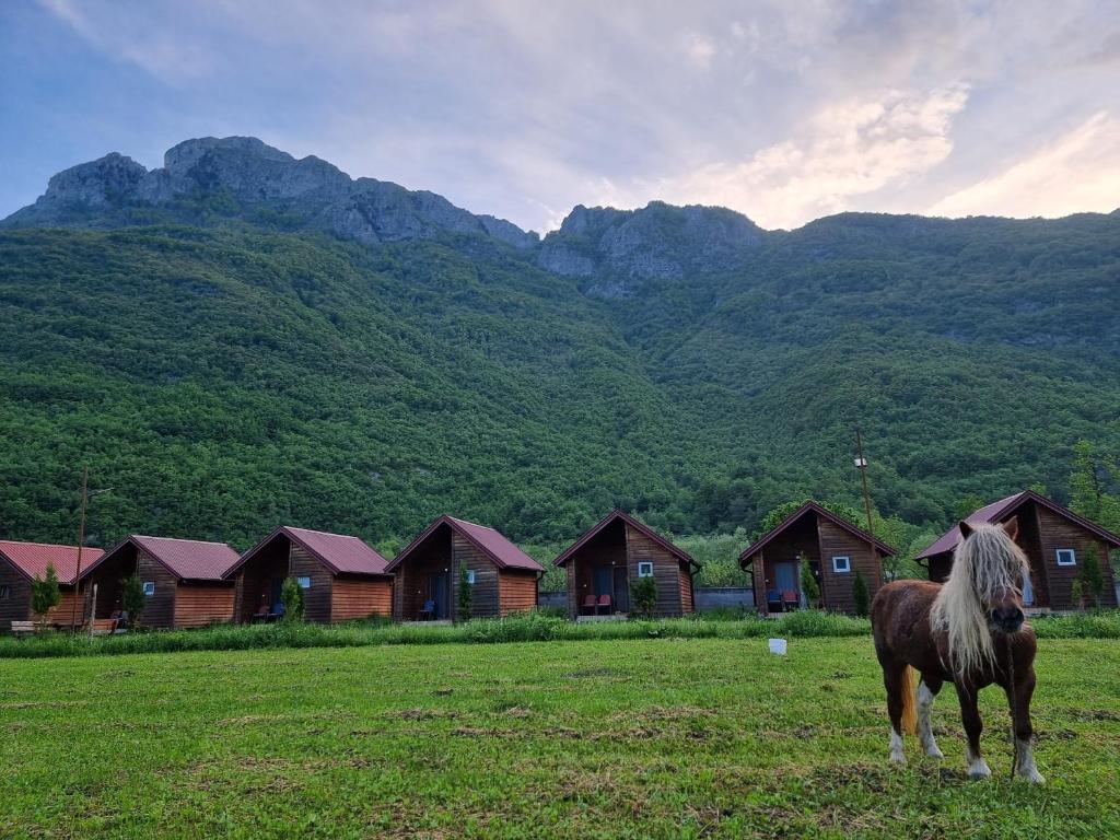 Ethno Katun ROSI Agrotourism - 6