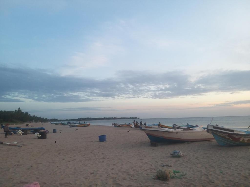 Příroda nedaleko hostelu