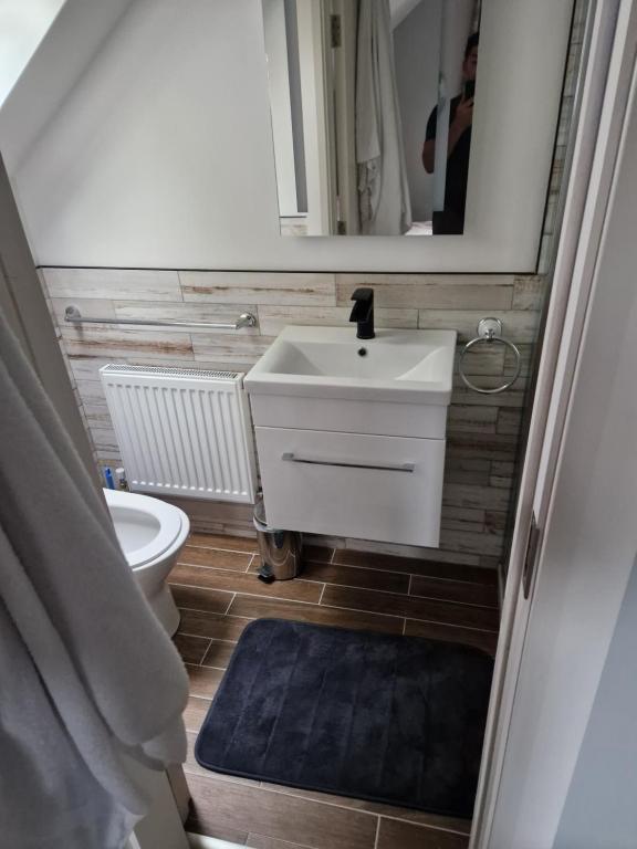 een badkamer met een wastafel, een spiegel en een toilet bij Ashbury in Ballinasloe