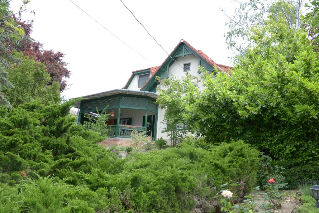 Gyöngy Villa - Appartement