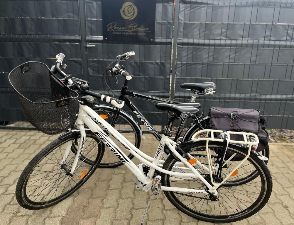 Jízda na kole v ubytování Rózsa Strasse Tarján nebo okolí