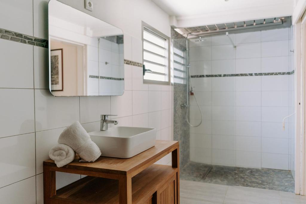 プティ・ブールにあるHabitation TABANONの洗面台とシャワー付きのバスルーム