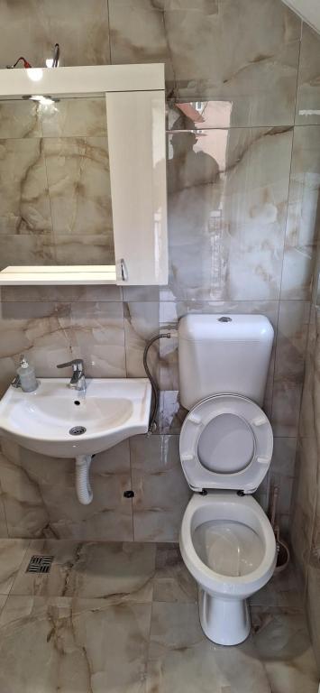 Koupelna v ubytování Apartments Bajceta