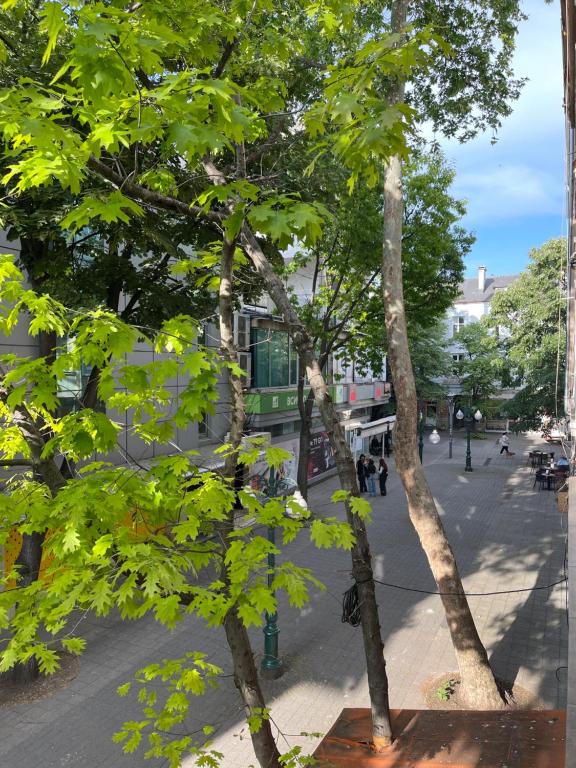 Fotografie z fotogalerie ubytování Sea Salt Suite- Burgas v destinaci Burgas City