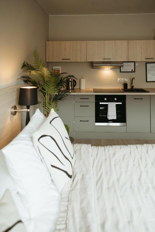 Kuchyň nebo kuchyňský kout v ubytování Vík Apartments
