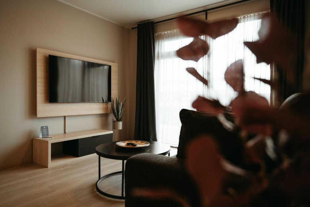 TV a/nebo společenská místnost v ubytování Vík Apartments