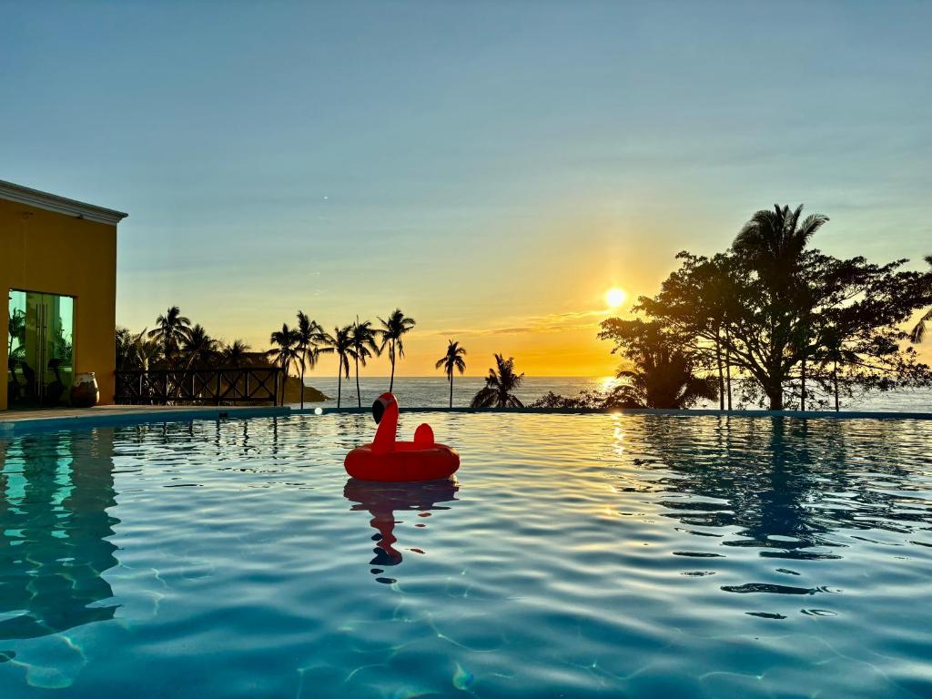 un pato de goma rojo en una piscina con puesta de sol en Hotel Hacienda San Pancho, en San Francisco